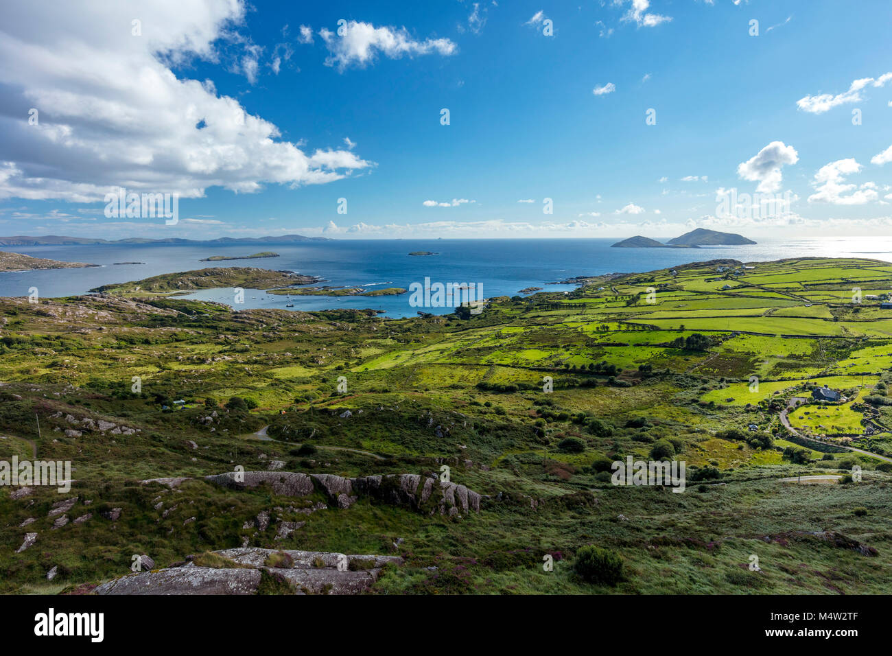 Champs verts au-dessus de la baie de Derrynane, Caherdaniel, comté de Kerry, Irlande. Banque D'Images