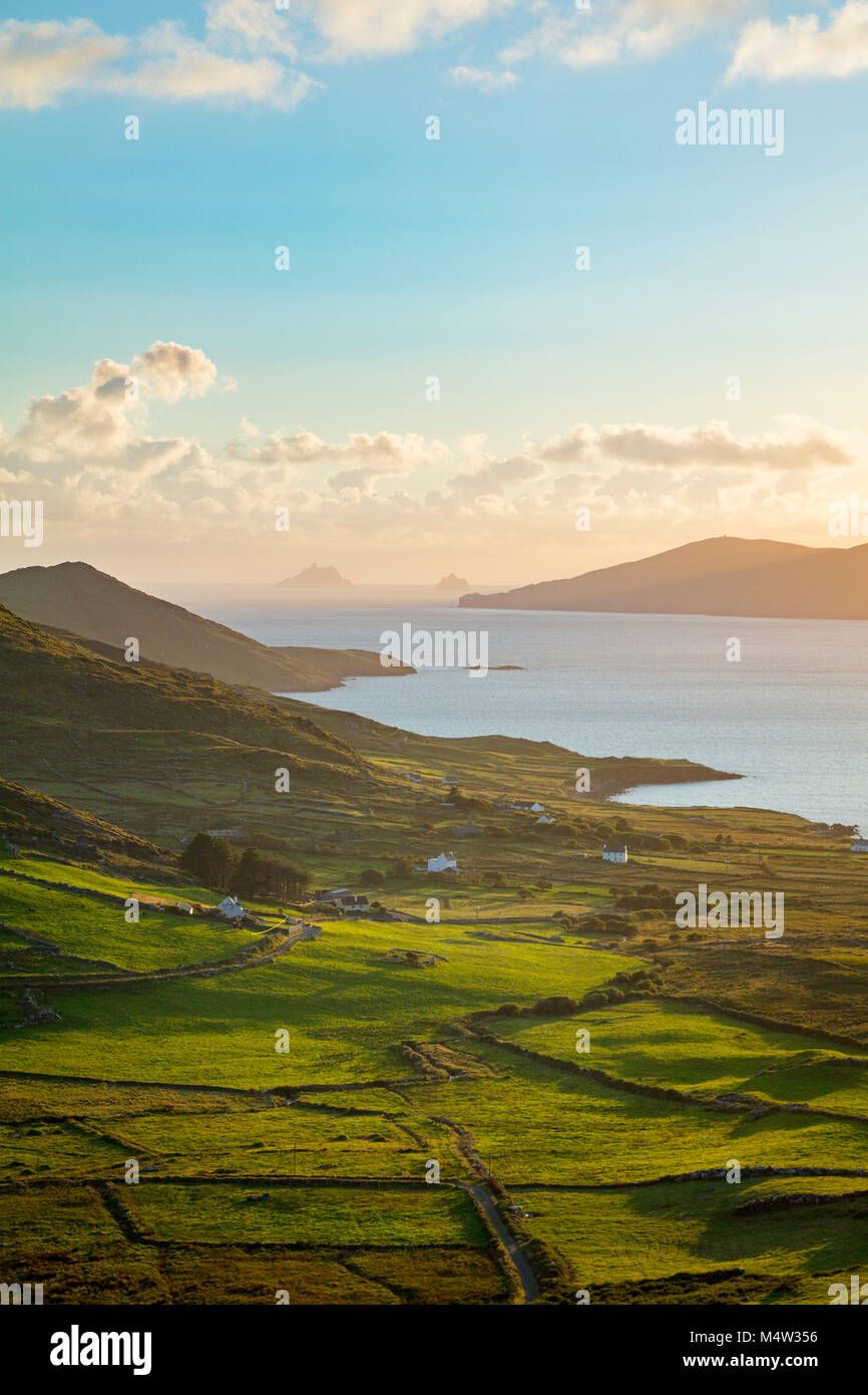 Lumière du soir sur les champs et les Îles Skellig à partir de la baie de Ballinskelligs, comté de Kerry, Irlande. Banque D'Images