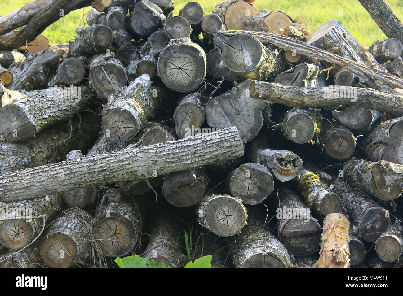 Une pile de bois brut pour l'hiver Banque D'Images