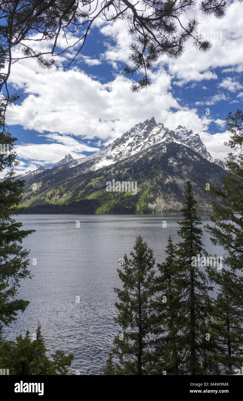 Mt. Moran au Parc National de Grand Teton, Wyoming Banque D'Images