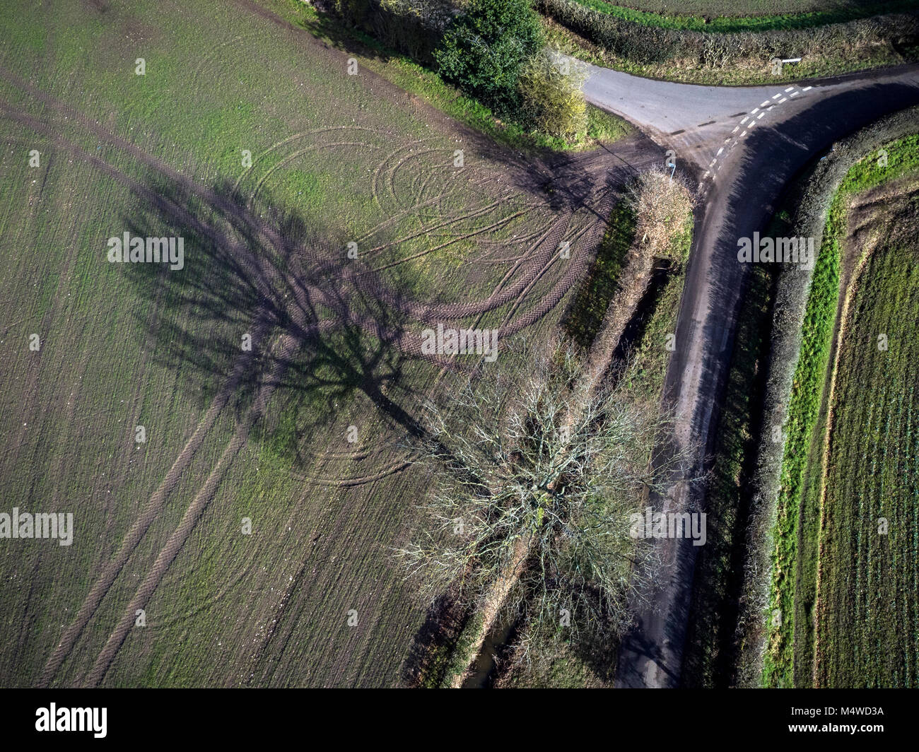 L'ombre d'un arbre sans feuilles en hiver sur les terres agricoles dans le Worcestershire, Angleterre. Banque D'Images