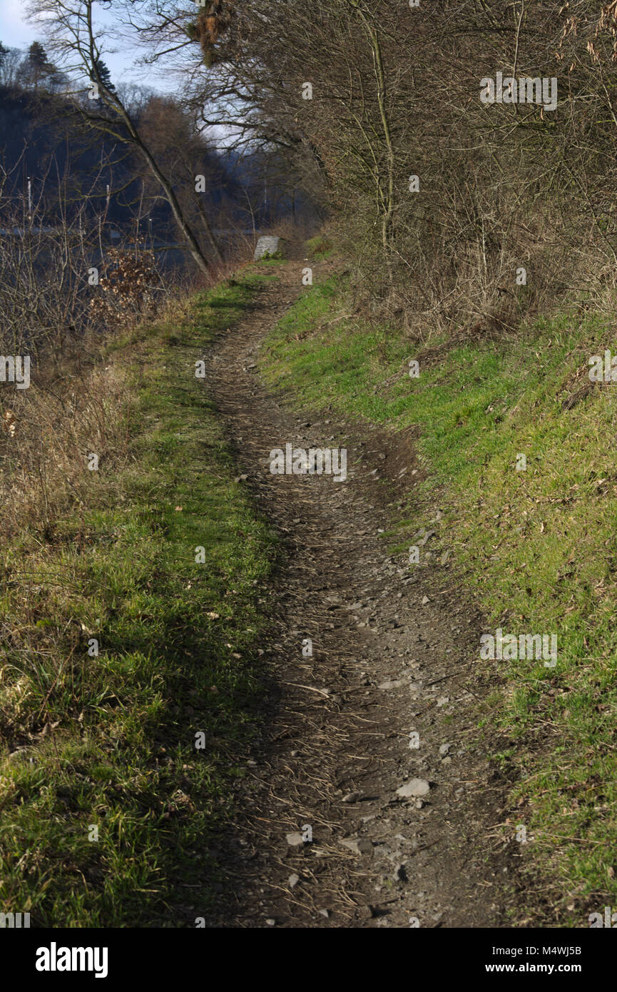 Chemin dans un paysage de forêt Banque D'Images