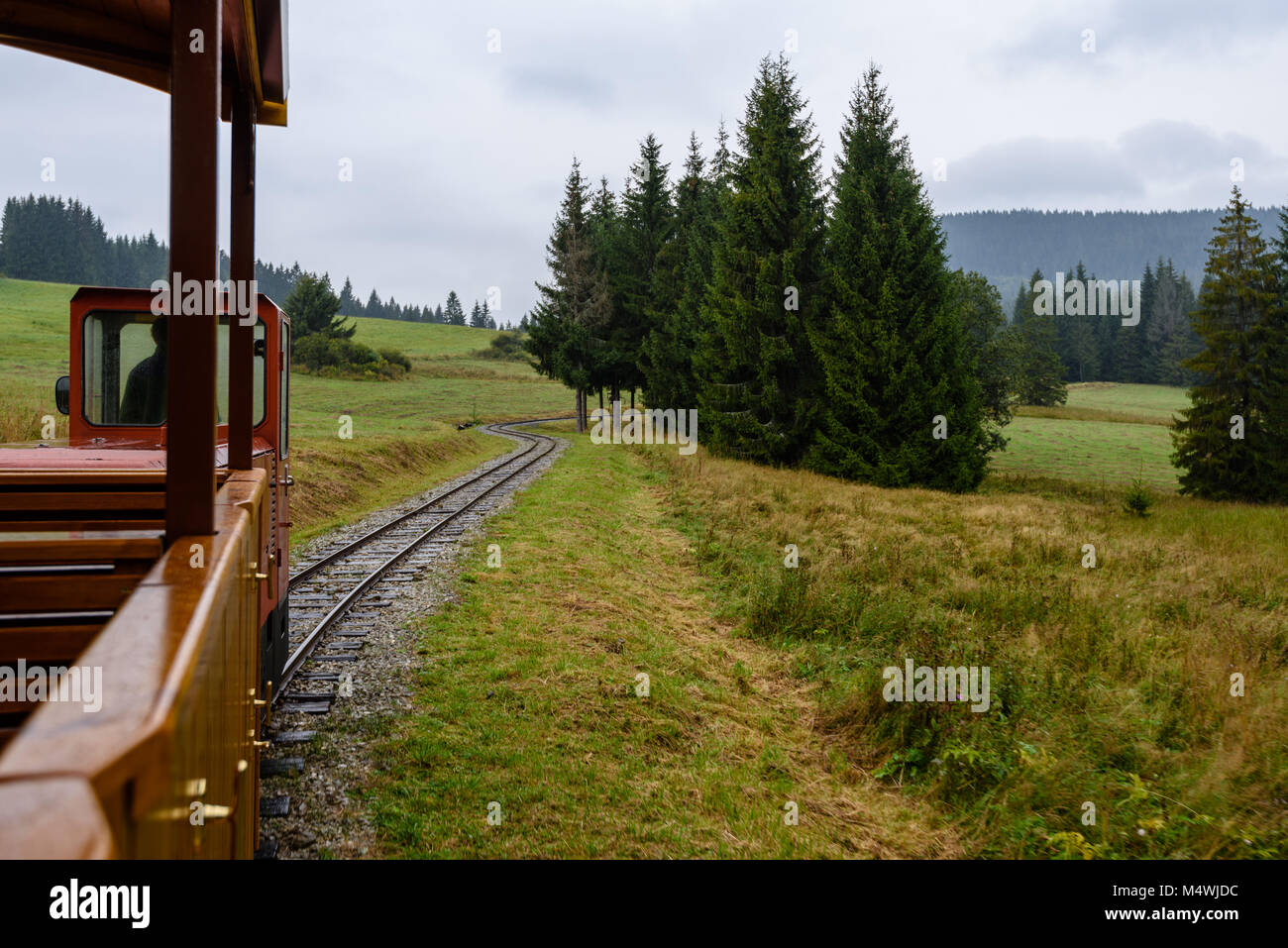 Des voies de chemin de fer ondulé en milieu humide journée d'été en forêt avec cabine de train Banque D'Images