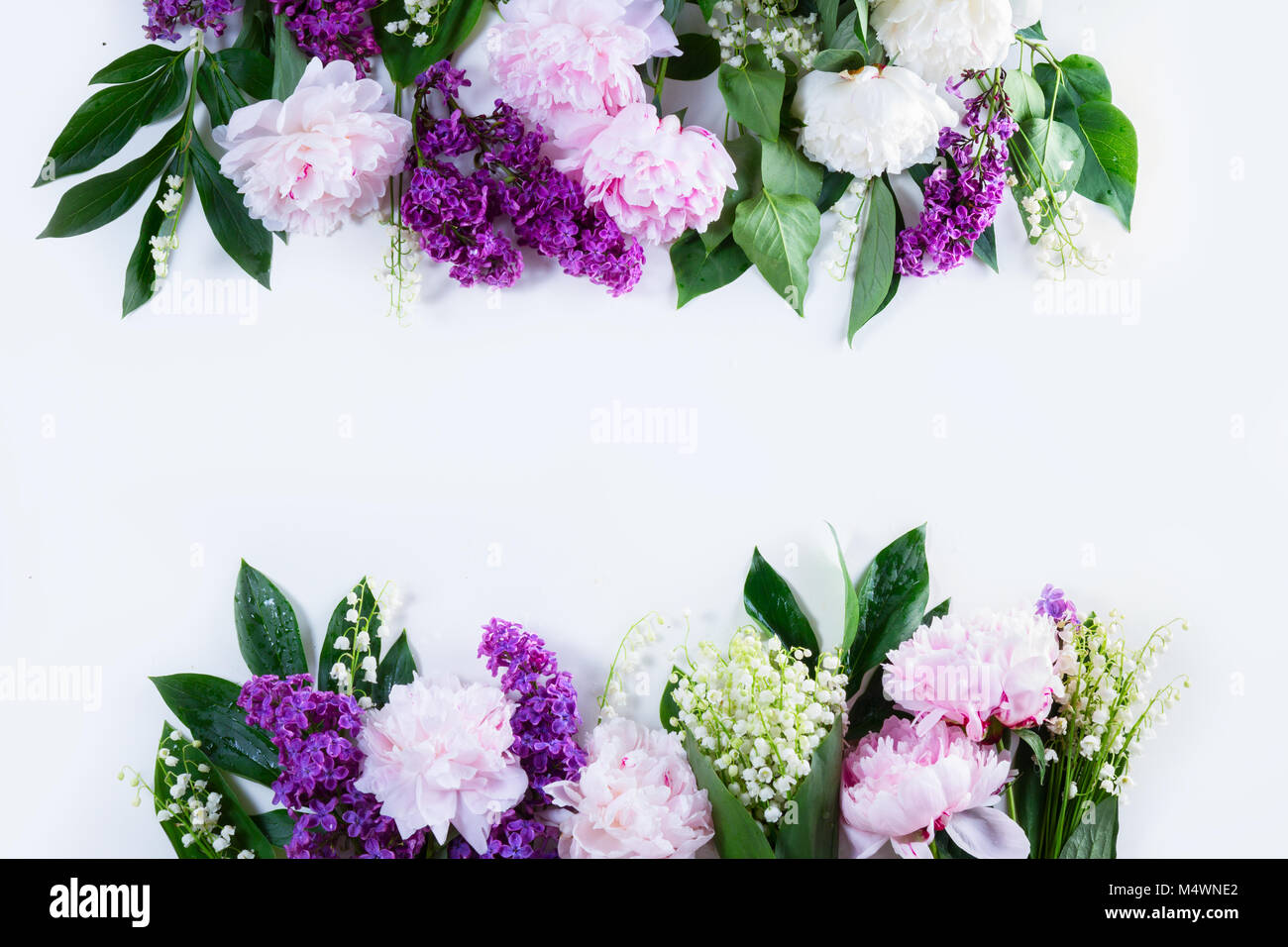 Frontières floral sur blanc Banque D'Images