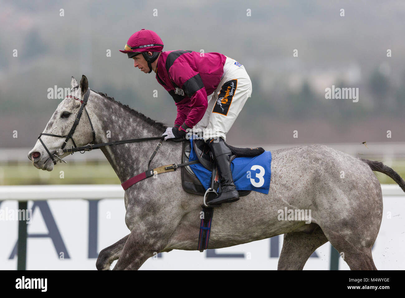 Grand Fred Banque De Photographies Et D Images A Haute Resolution Alamy