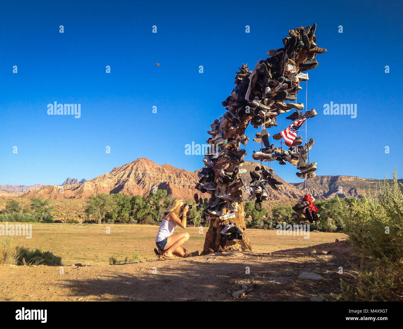 Belle fille photos un arbre couvert de chaussures jetées en Utah. Banque D'Images