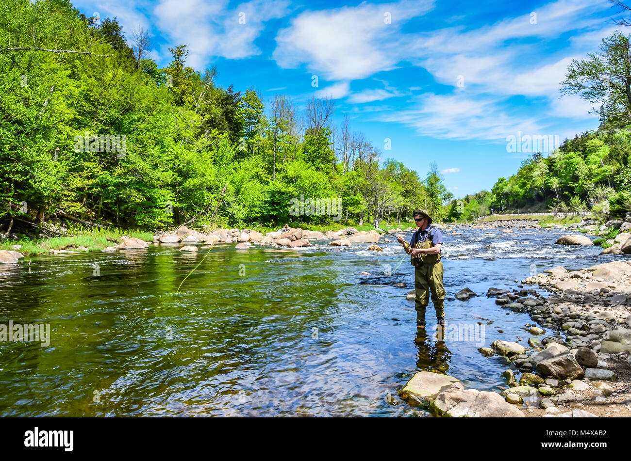 Un pêcheur de mouche se trouve dans un ruisseau à truite dans les Adirondacks de l'État de New York. Banque D'Images