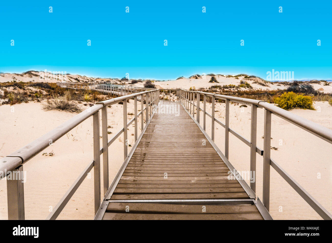 Interdune Promenade de bois, un trottoir surélevé à travers dunes de sable blanc du parc national. Banque D'Images