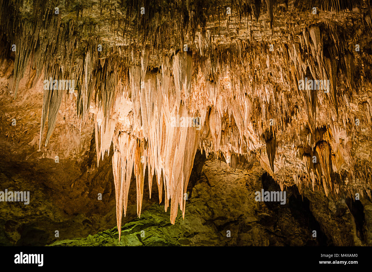 La formation rocheuse de draperies lustre est suspendu au plafond dans la grande salle de Carlsbad Caverns National Park dans le Nouveau Mexique. Banque D'Images