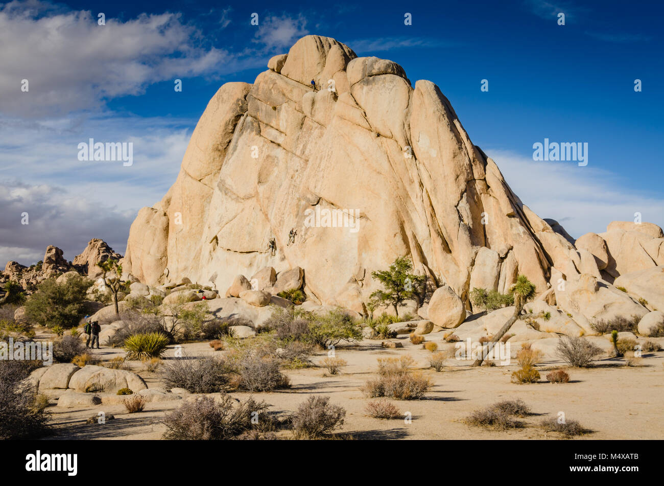 Intersection Rock est un 150-pied grand monolithe de monzonite reconnue comme le berceau de l'escalade dans le parc national Joshua Tree, Yucca Valley, Banque D'Images