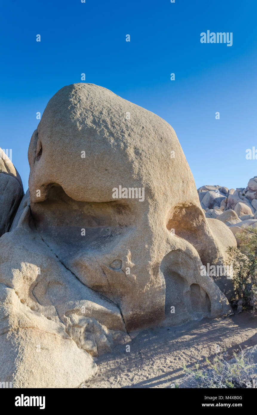 Le crâne Rock formation géologique est un favori des visiteurs de Joshua Tree National Park à Yucca Valley, désert de Mojave, Californie, États-Unis. Banque D'Images