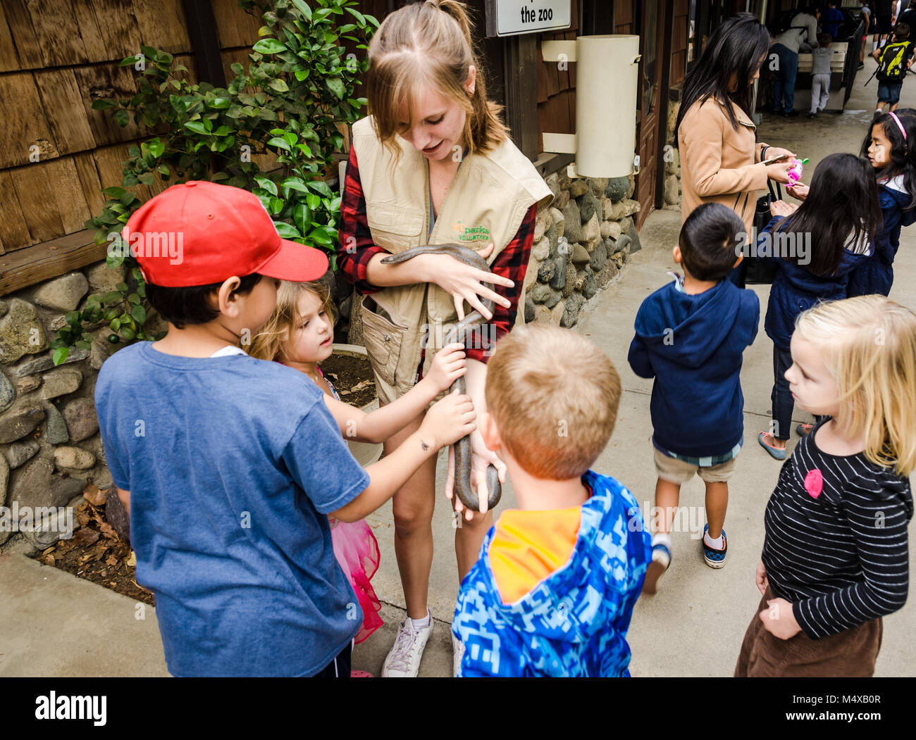 Irvine, CA, USA. Éducateur Zoo initie les enfants à un serpent à Orange County Zoo. Banque D'Images