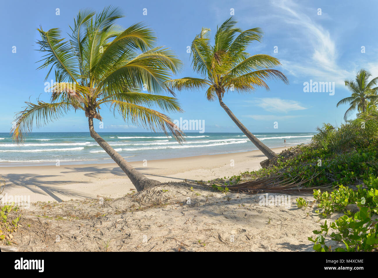 Paradise Beach à l'impressionnant Itacare Bahia Brésil Banque D'Images