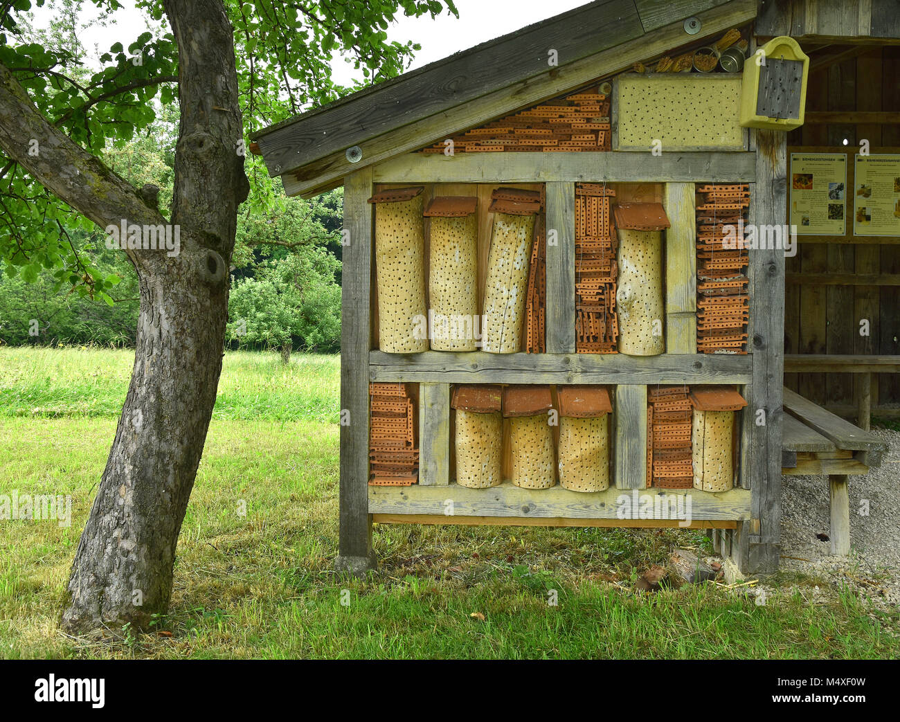 Maison de l'abeille, l'apiculture ; Banque D'Images