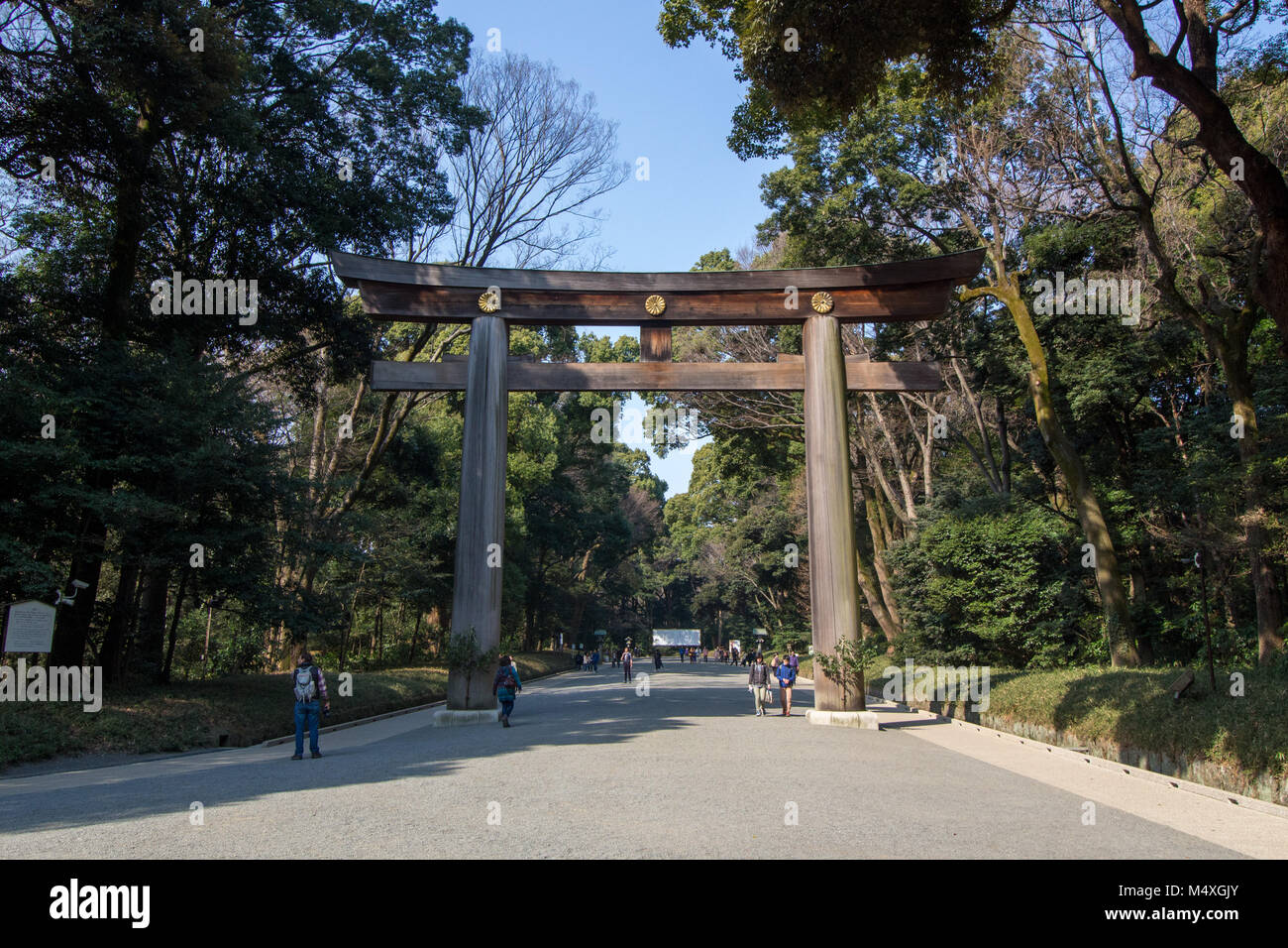 Le Torii (culte archway) à Meiji Jingu à Tokyo Banque D'Images