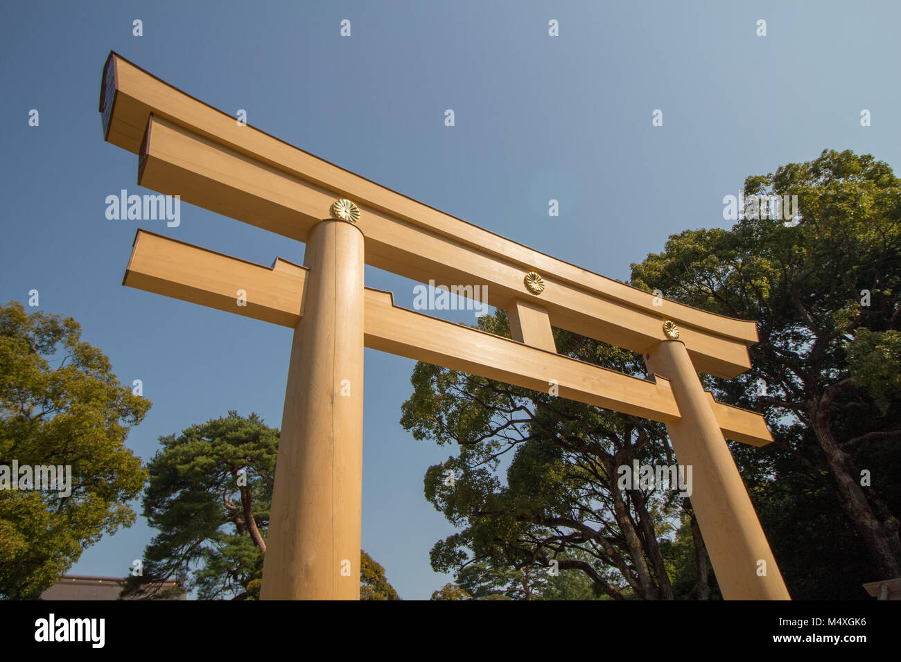 Le Torii (culte archway) à Meiji Jingu à Tokyo Banque D'Images