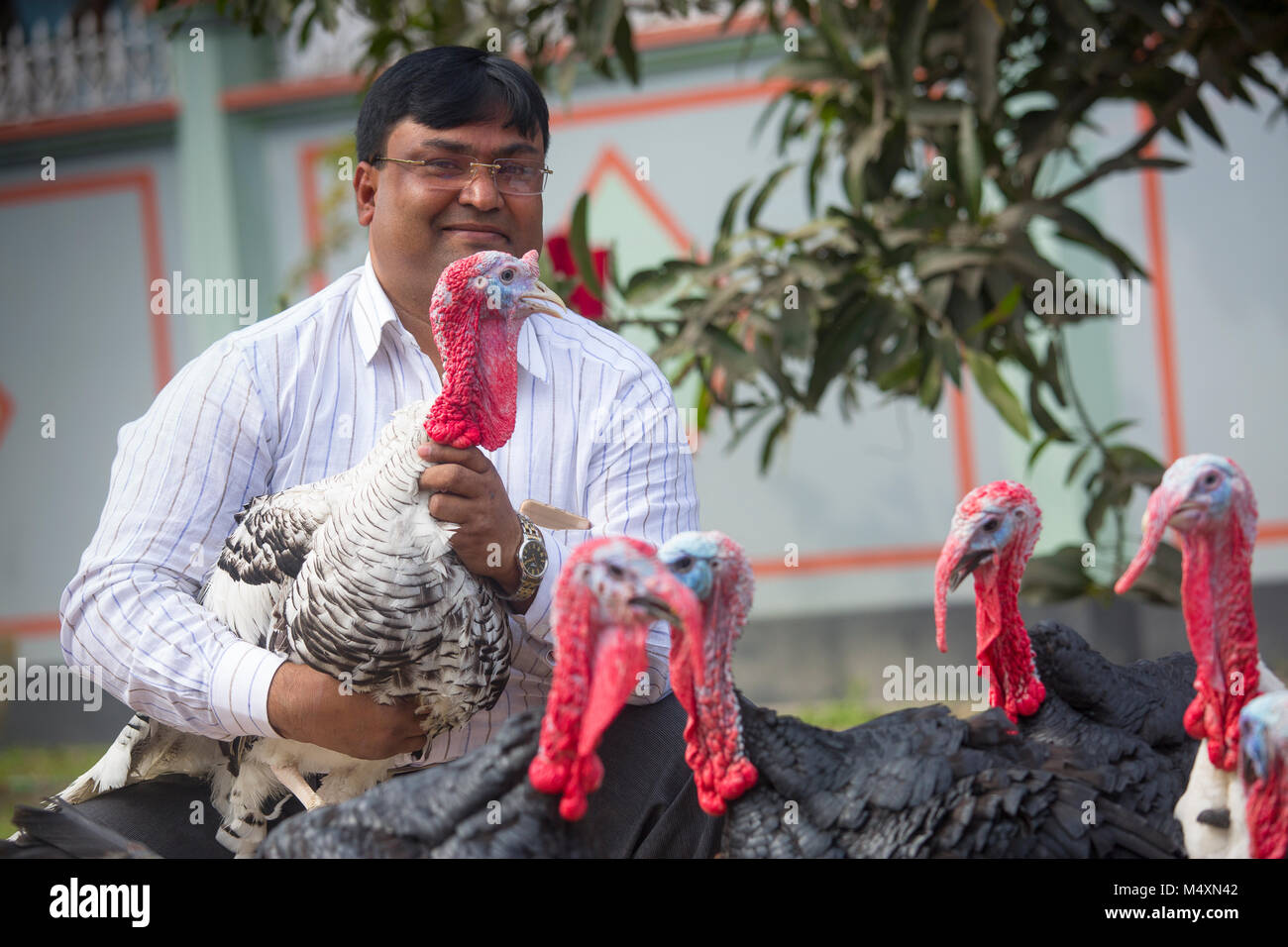 Md. Amir Hossain Sarkar, propriétaire de la première grande entreprise du Bangladesh Turquie ferme "Sarker Modarn Turquie ferme" à Ashulia, Savar, Dhaka, Bangladesh. Banque D'Images