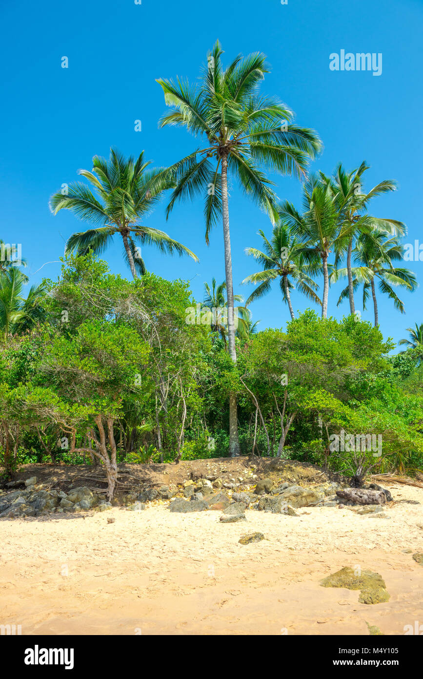 Paradise Beach à l'impressionnant Itacare Bahia Brésil Banque D'Images