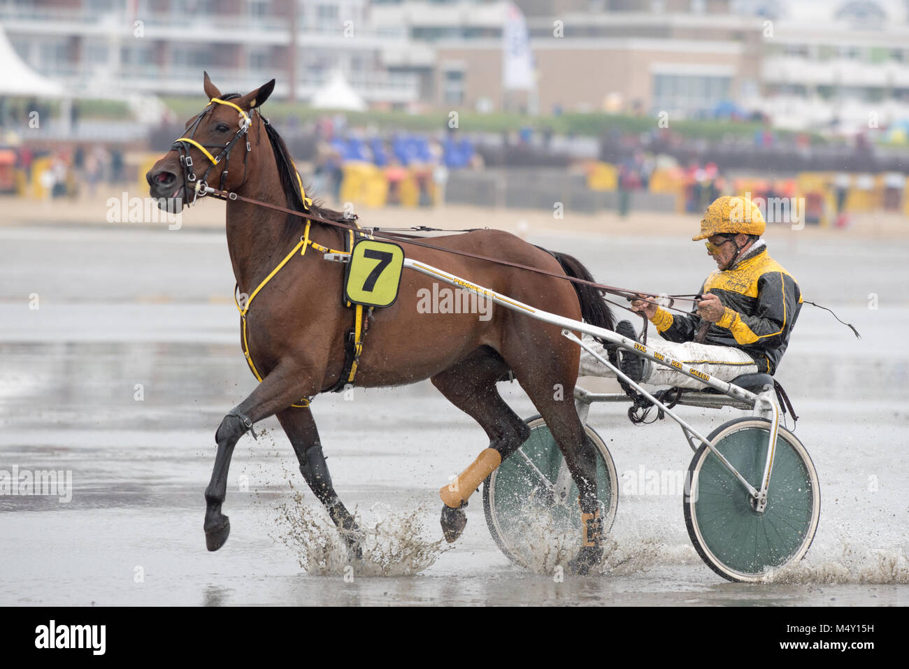 Course de chevaux Banque D'Images