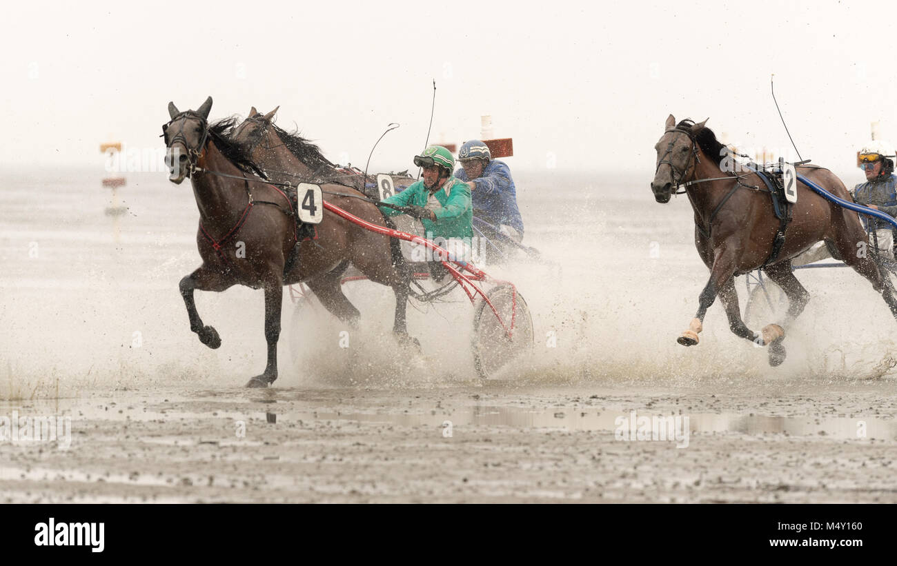 Course de chevaux Banque D'Images