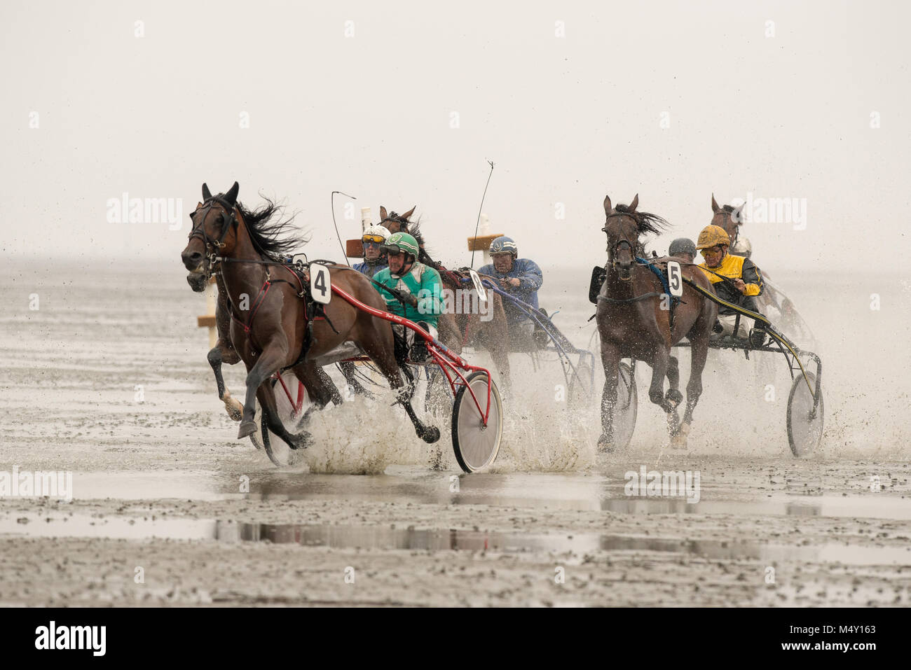 Course de chevaux Banque D'Images