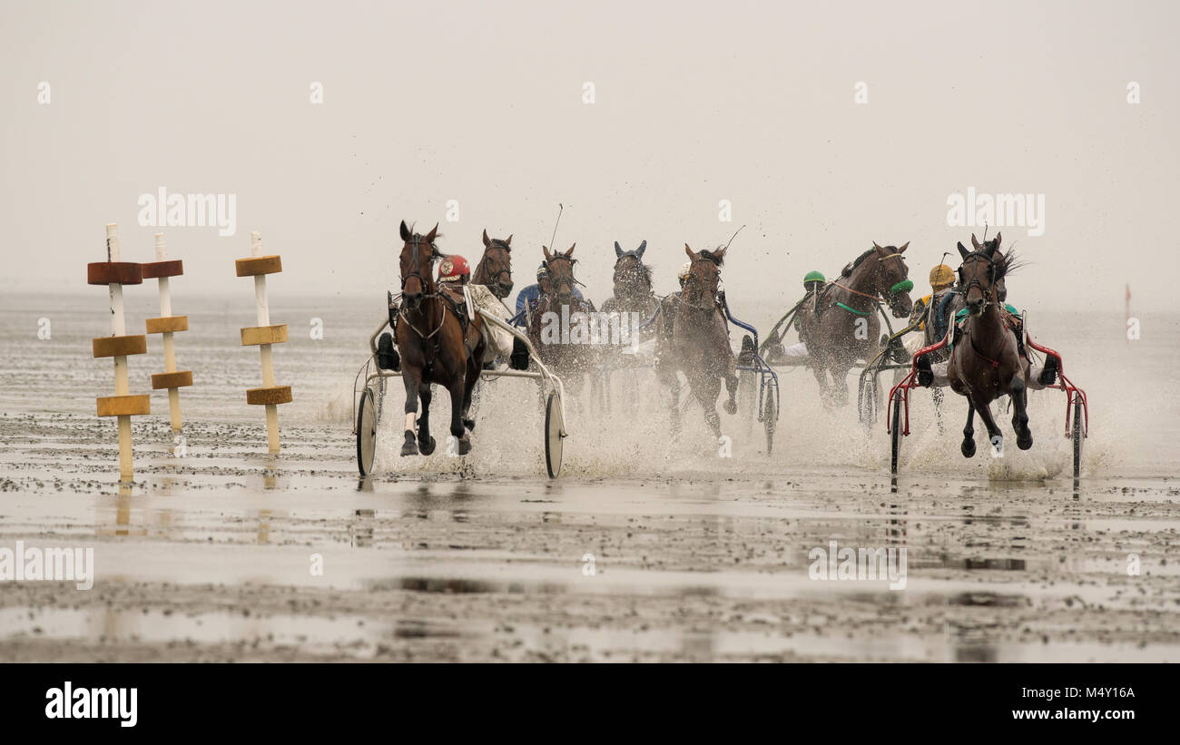 Course de chevaux Banque D'Images