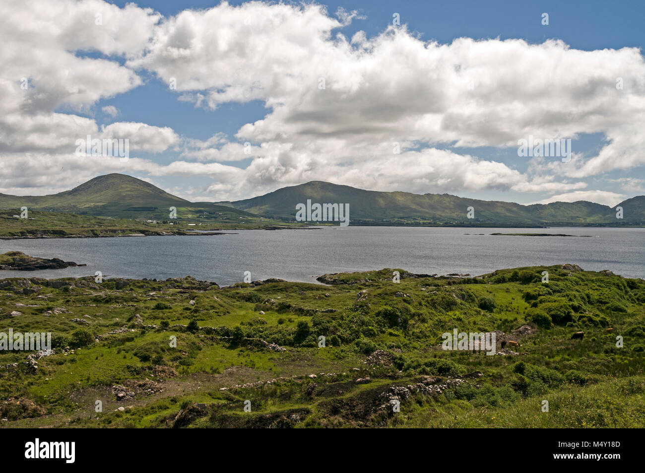 Baie de Kenmare entre Eyeries et Ardgroom sur l'anneau de Beara dans la péninsule de Beara, Irlande du Sud. Banque D'Images