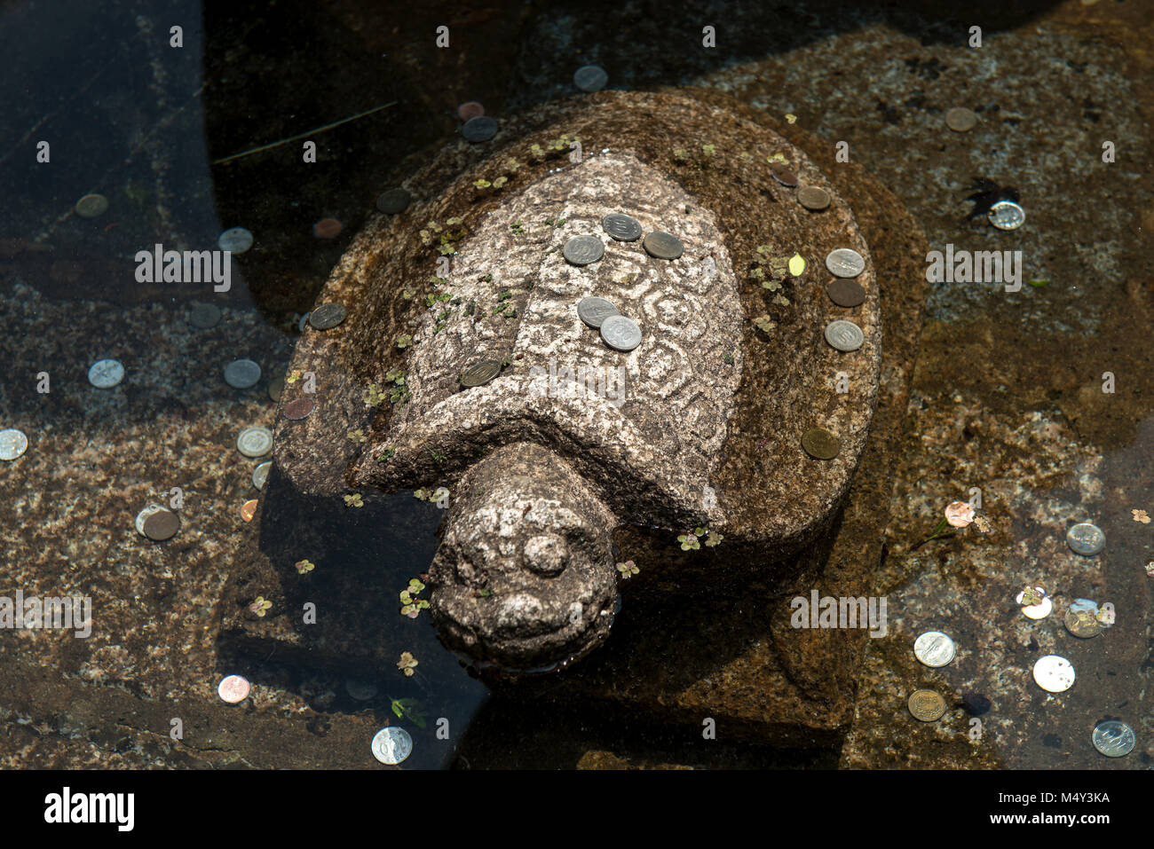 Tortue de l'Corée statue de coins Banque D'Images