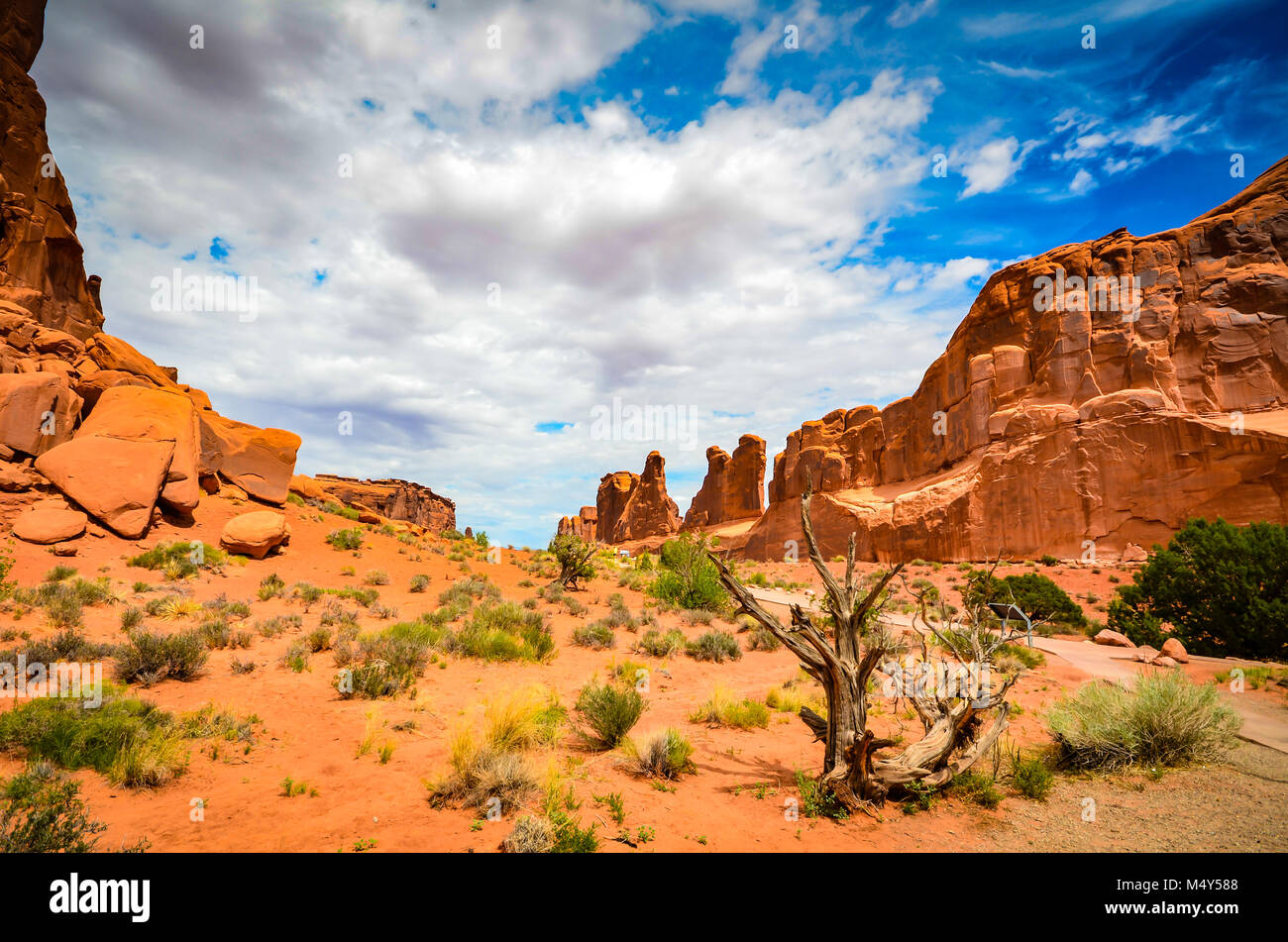 Le Park Avenue Trail est une des premières grandes attractions dans Arches National Park. Il s'agit d'un sentier de 1,6 km qui suit le fond d'un canyon à Banque D'Images