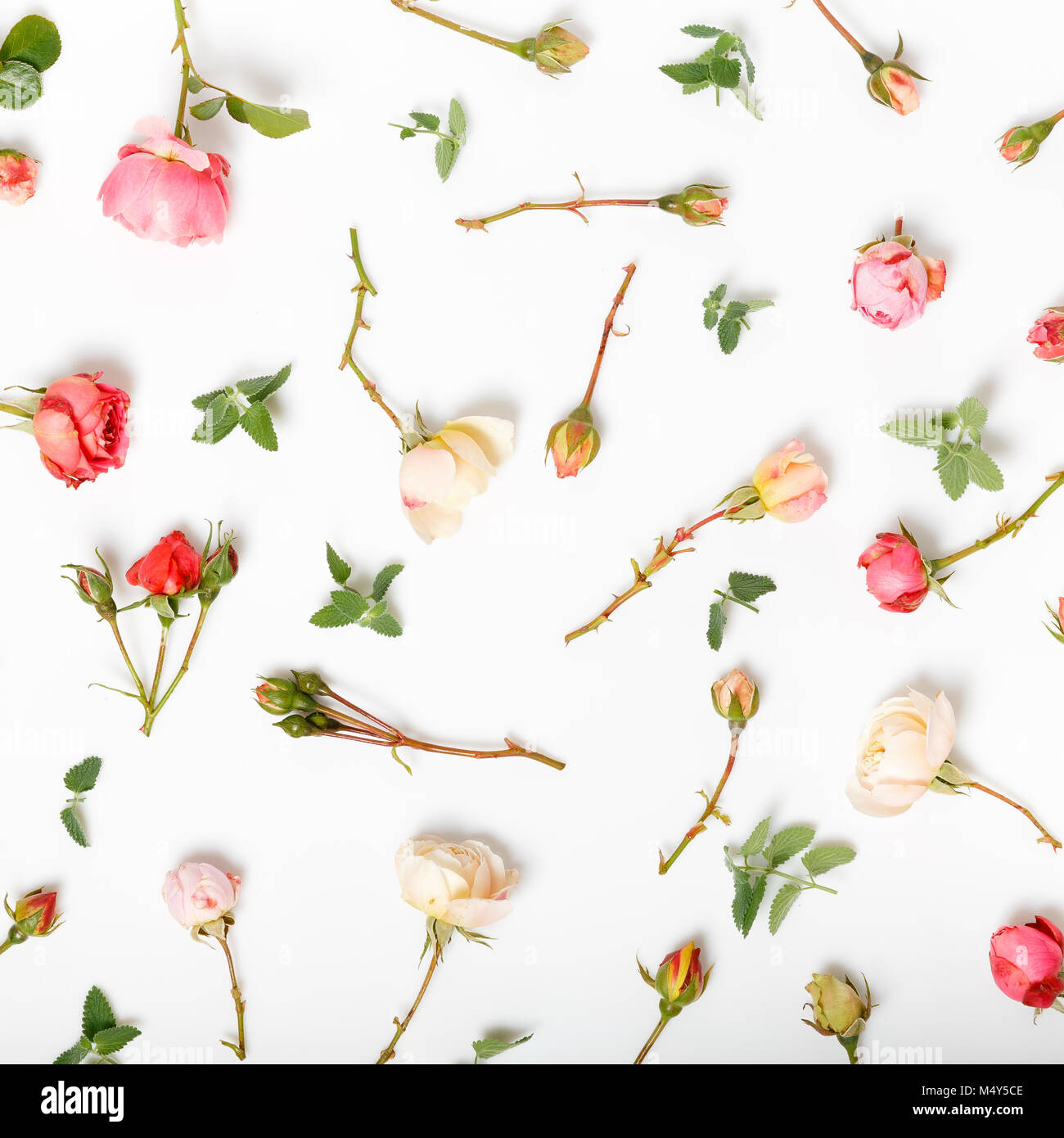 Rétro Anglais Porcelaine Assiettes Jolie Fleur Rose