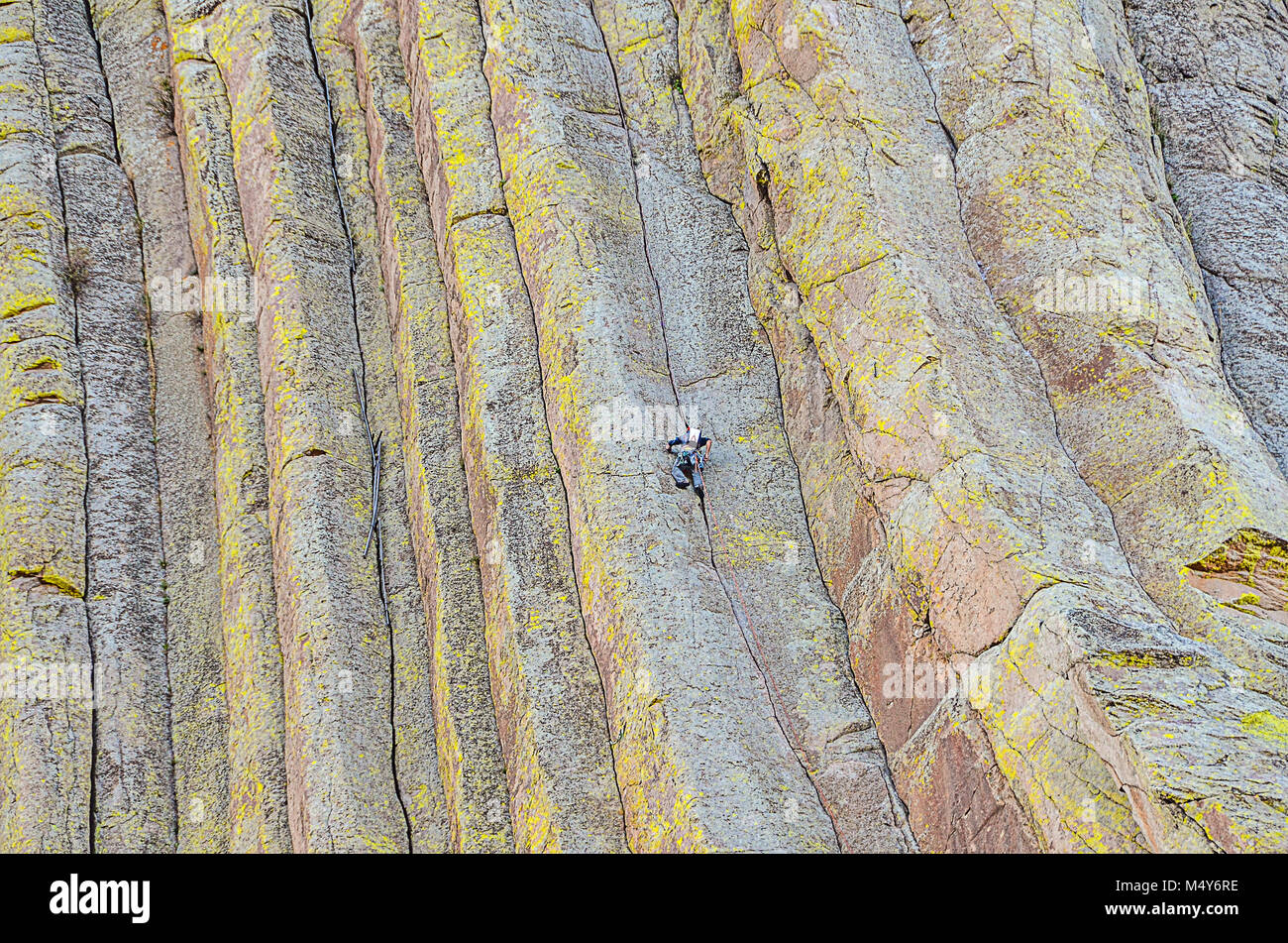 Rock climber scaling un des centaines de fissures parallèles qui font de Devils Tower L'un des plus beaux domaines d'escalade crack traditionnel en Amérique du Nord. Banque D'Images