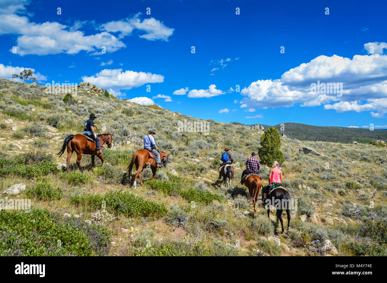 L'équitation tour sur sentier de la colline couverte de sauge à Medicine Bow National Forest. Banque D'Images