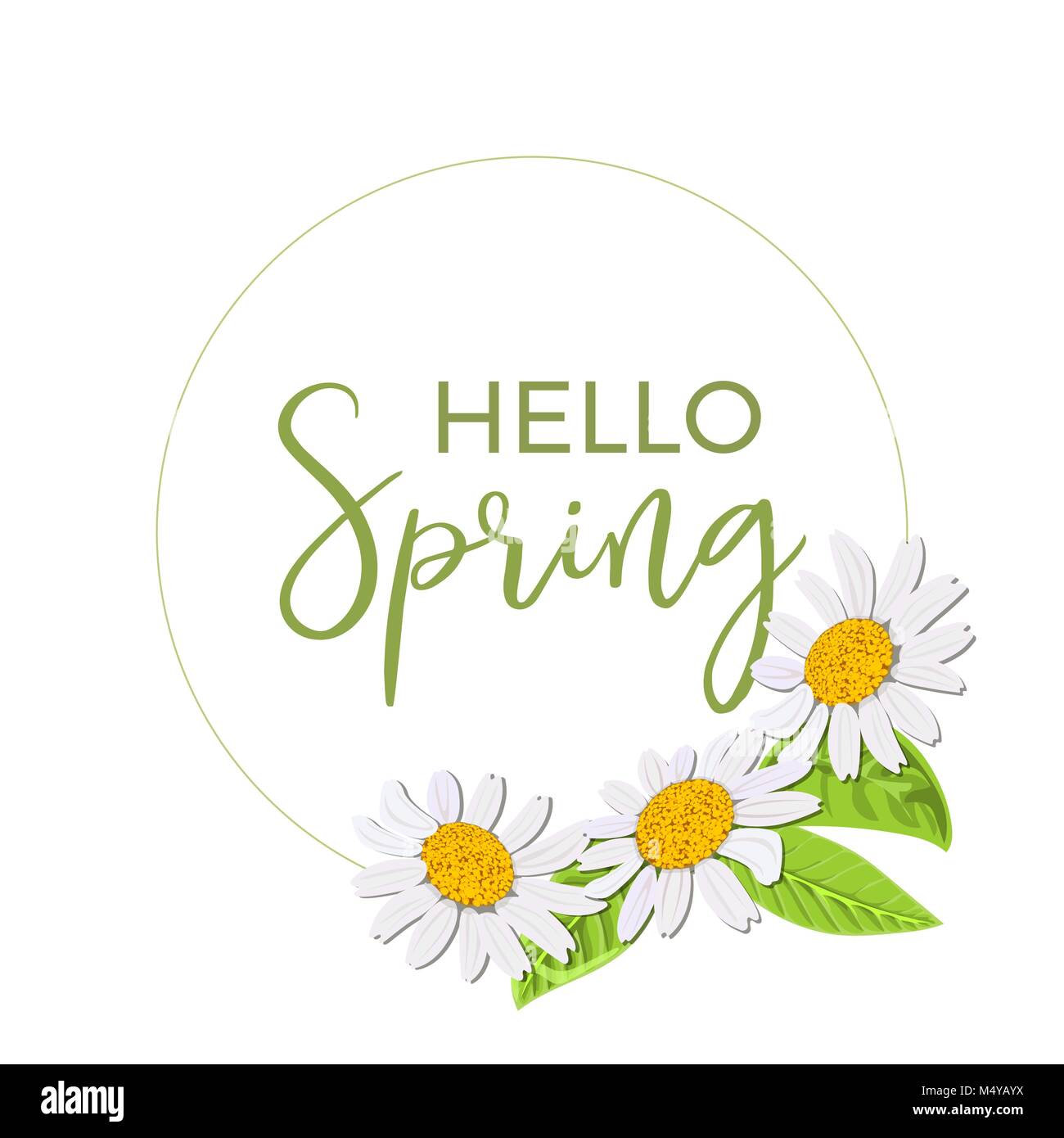 Bonjour printemps. Daisy belle couronne de fleurs isolées. Floral élégant collection de fleurs de camomille. Image, Texte. Fleurs de vecteur défini. Invitation pour la conception, nous Illustration de Vecteur