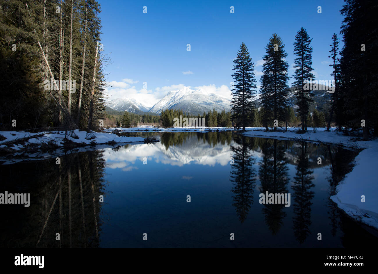 Réflexions de Moose Pond sur Bull River, d'Ibex Peak et le Cabinet des montagnes, dans le nord-ouest du Montana. Banque D'Images