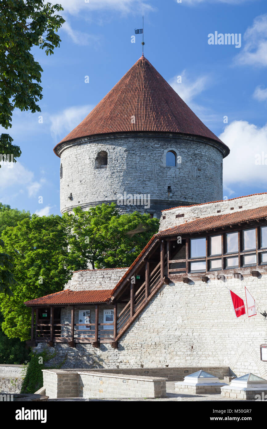 Bastion Kiek in de Kok est une tour d'artillerie à Tallinn, Estonie, construit en 1475 Banque D'Images