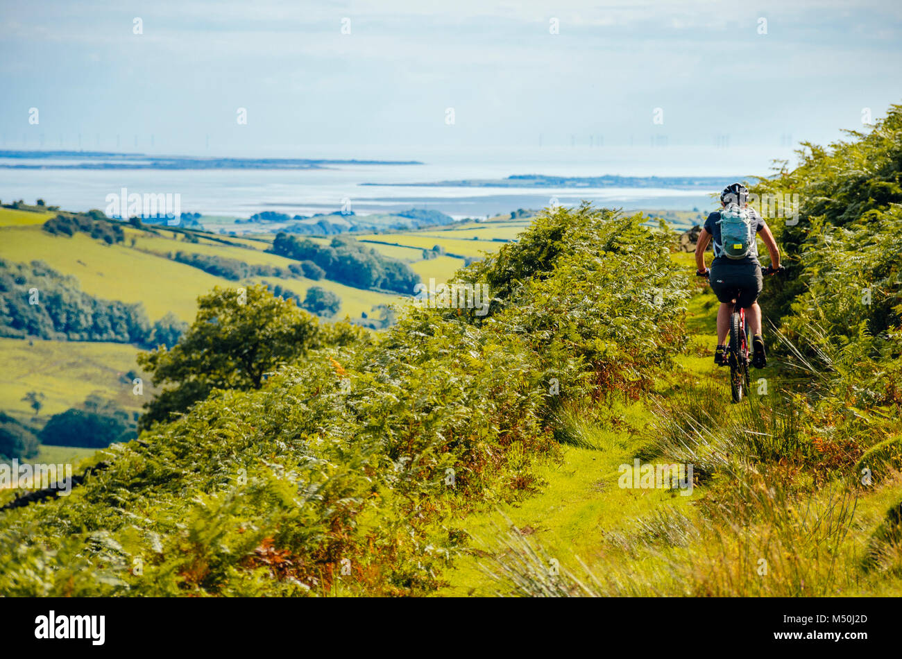 Vélo de montagne femelle sur le sentier au-dessus de la petite rivière dans le Lake District avec la baie de Morecambe dans la distance Banque D'Images