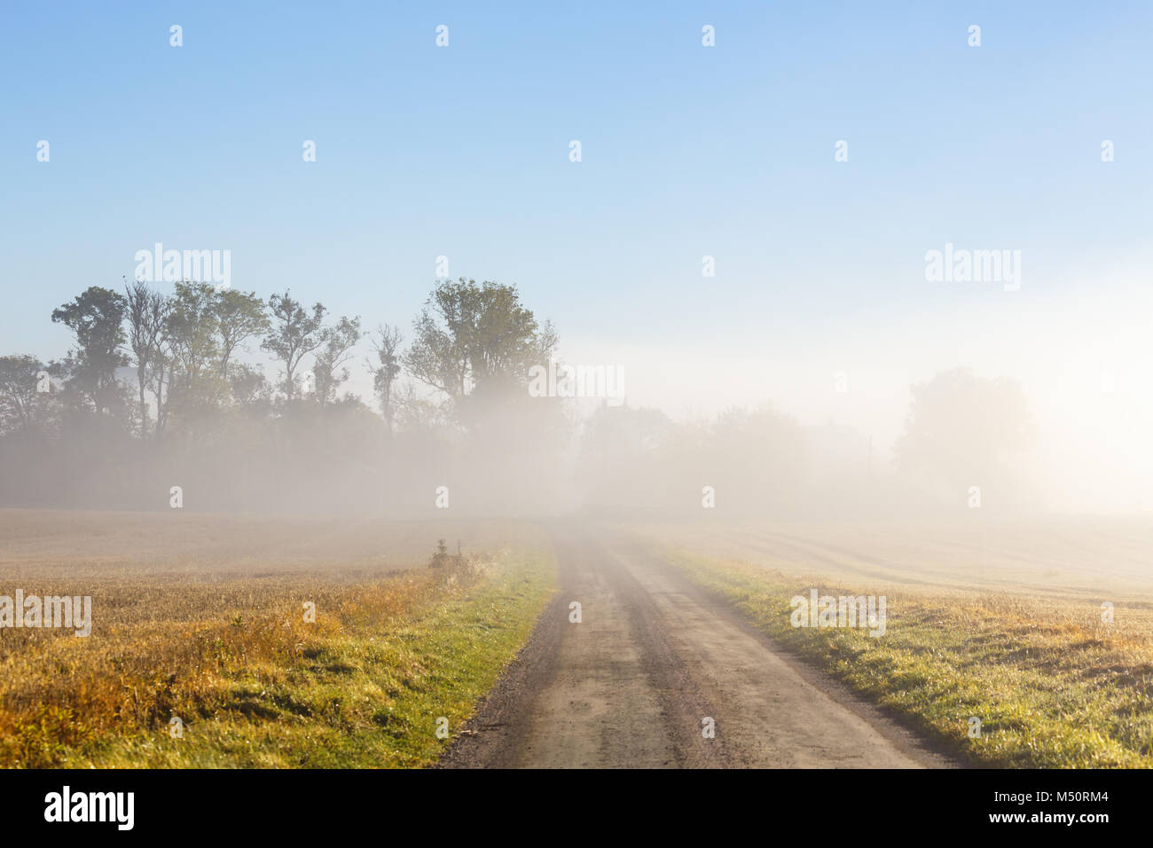 Brume du matin sur une route dans la campagne Banque D'Images