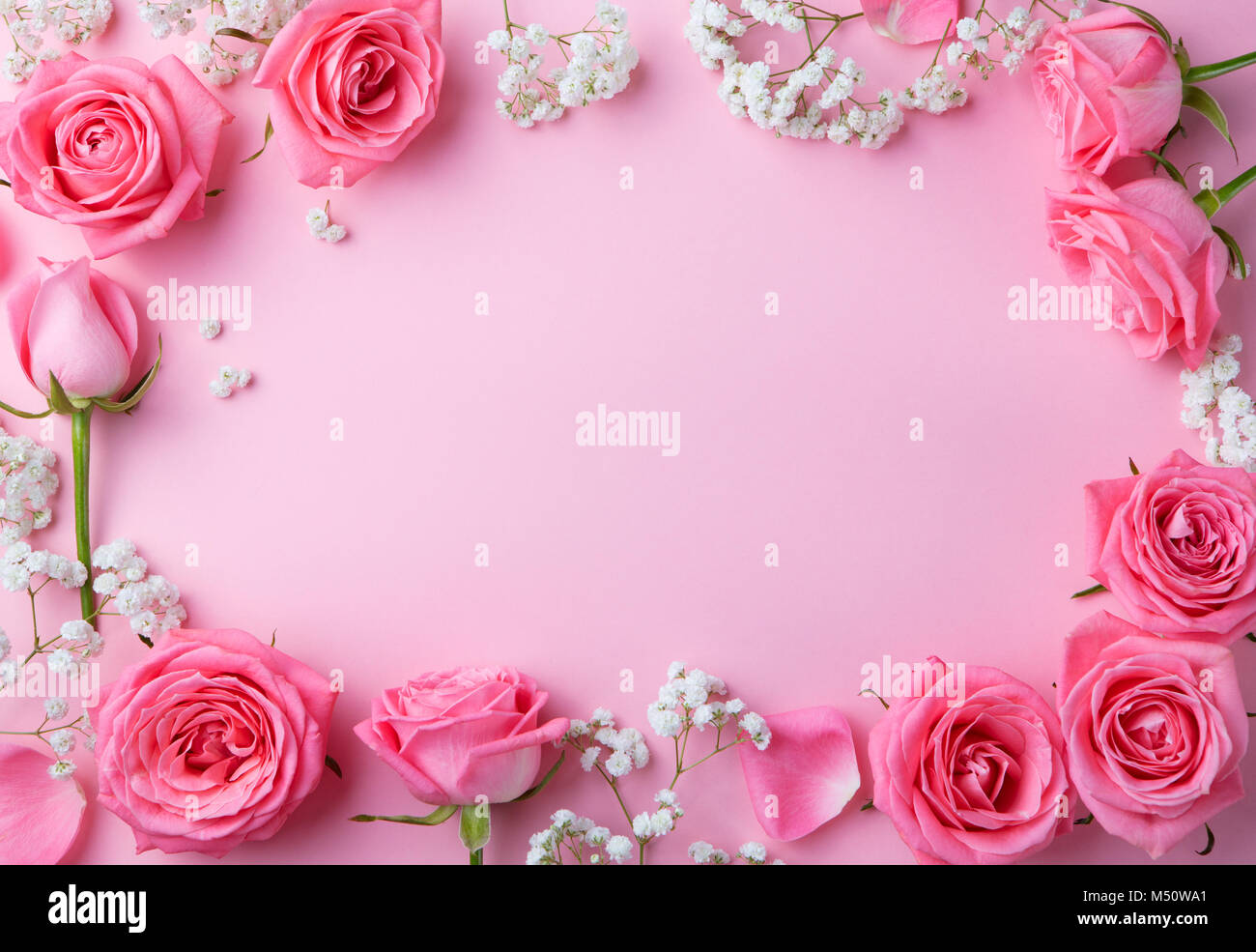 Image fleurs rose sur fond rose. Vue d'en haut. Copier l'espace. Banque D'Images
