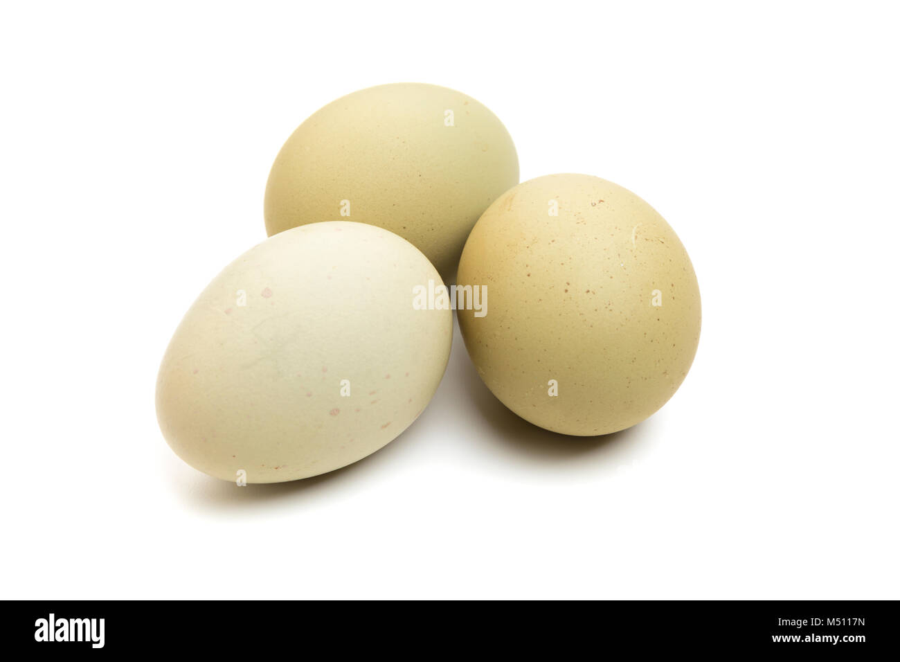 Trois œufs verts de l'Amérique du Sud race Araucana isolés de poulet Banque D'Images