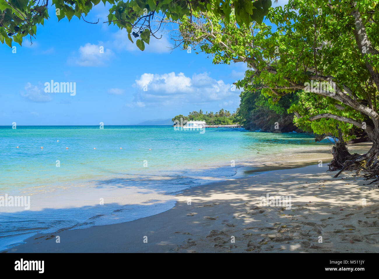 Belle vue de la plage blanche de plantes vertes dans l'eau turquoise, bateau en arrière-plan, la République Dominicaine Banque D'Images