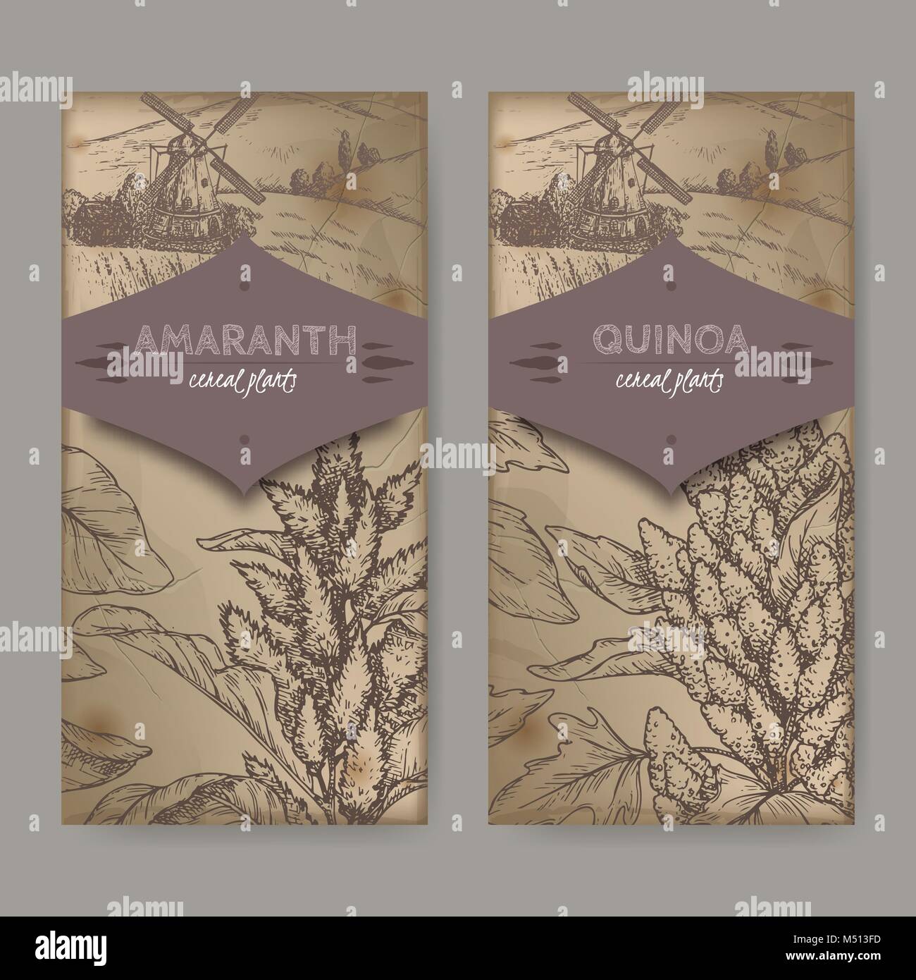 Ensemble de deux étiquettes avec Amaranthus cruentus amarante aka Chenopodium quinoa et croquis. Collection de plantes céréalières. Illustration de Vecteur