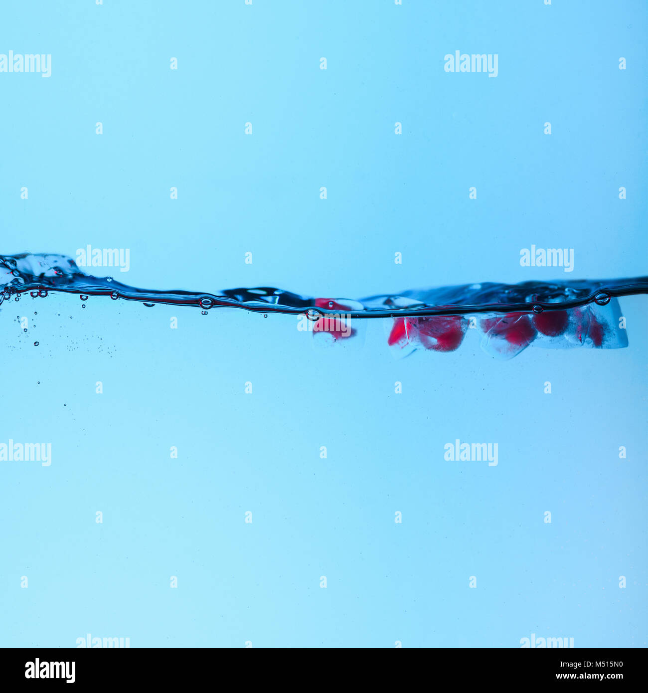Des cubes de glace avec des baies roses dans l'eau avec des bulles, isolé sur bleu Banque D'Images