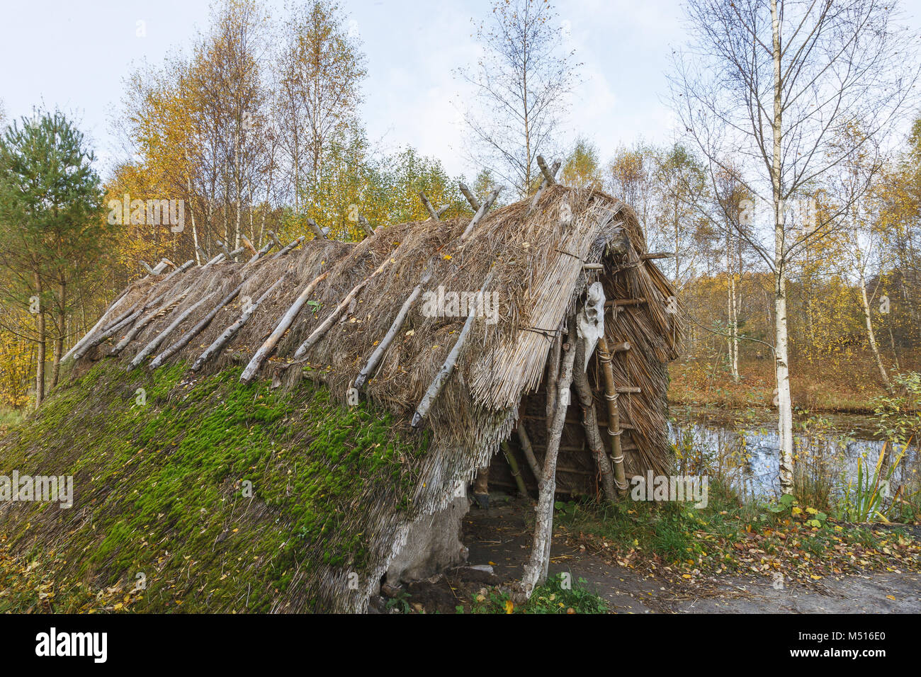 Cabane dans la forêt d'herbe à l'automne sur un lac Banque D'Images