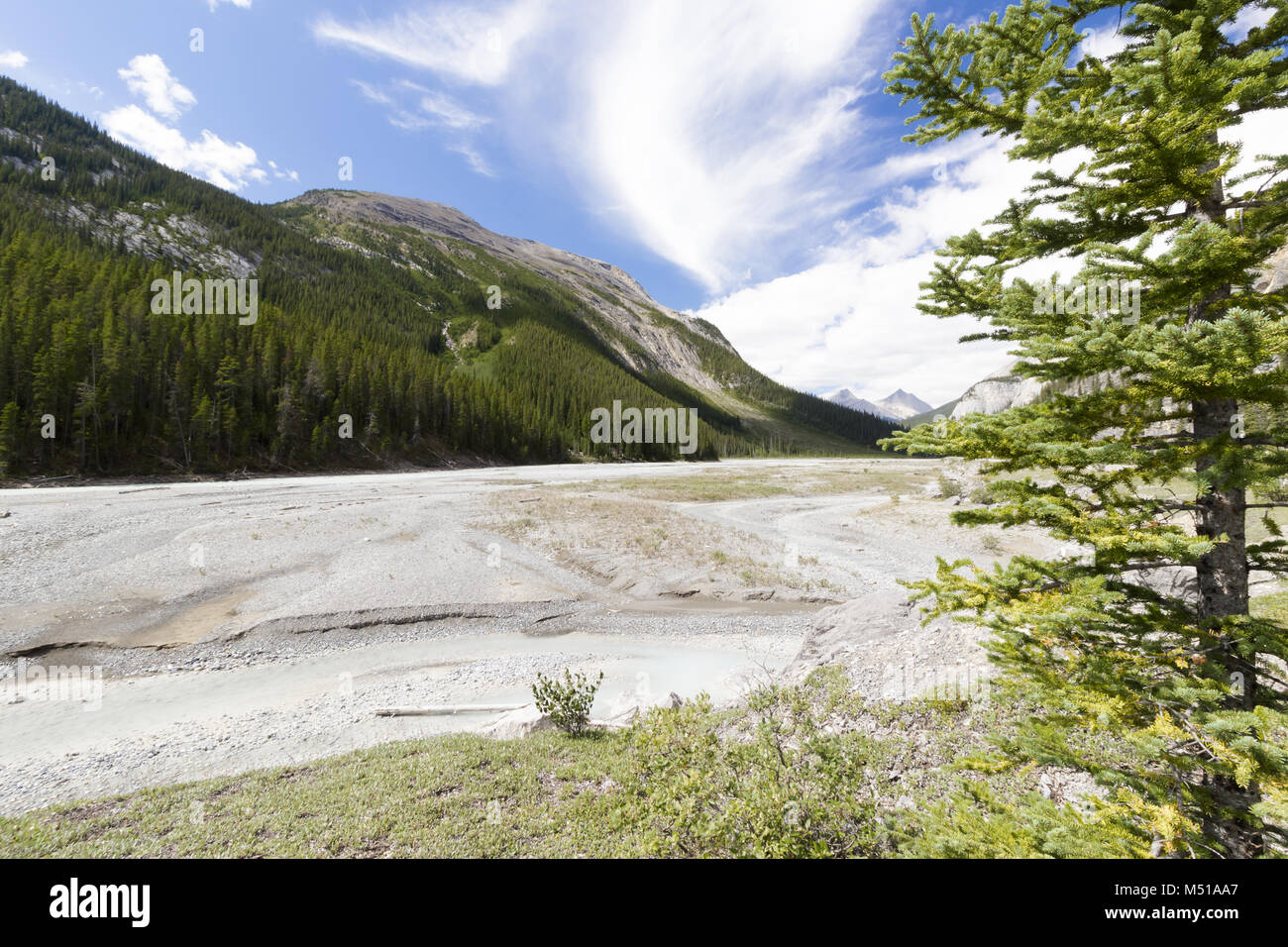 Vue sur la rivière Athabasca Canada Ouest 3 Banque D'Images