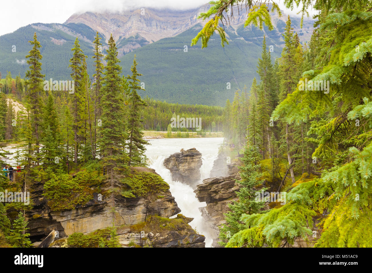 Alberta Canada Ouest cascade Banque D'Images