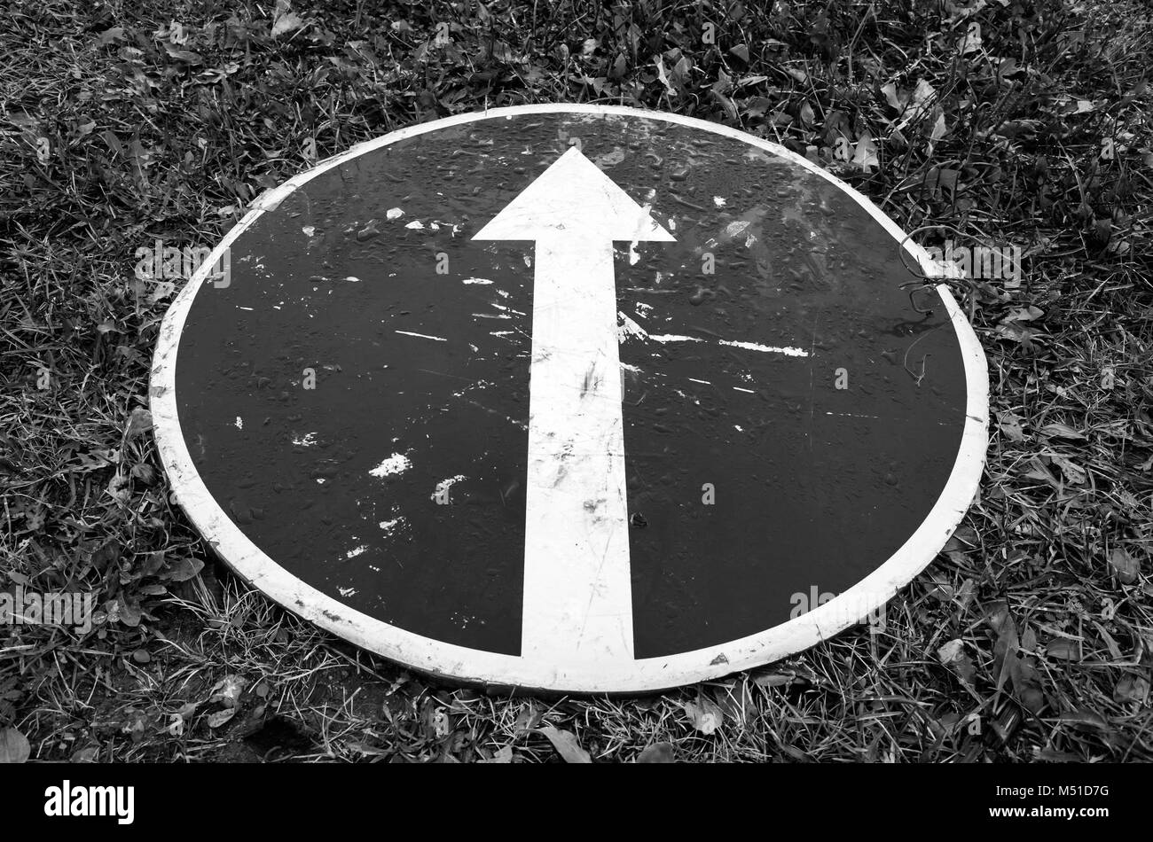 De l'avant uniquement, signe de route avec une flèche blanche se pose sur l'herbe. Photo en noir et blanc Banque D'Images