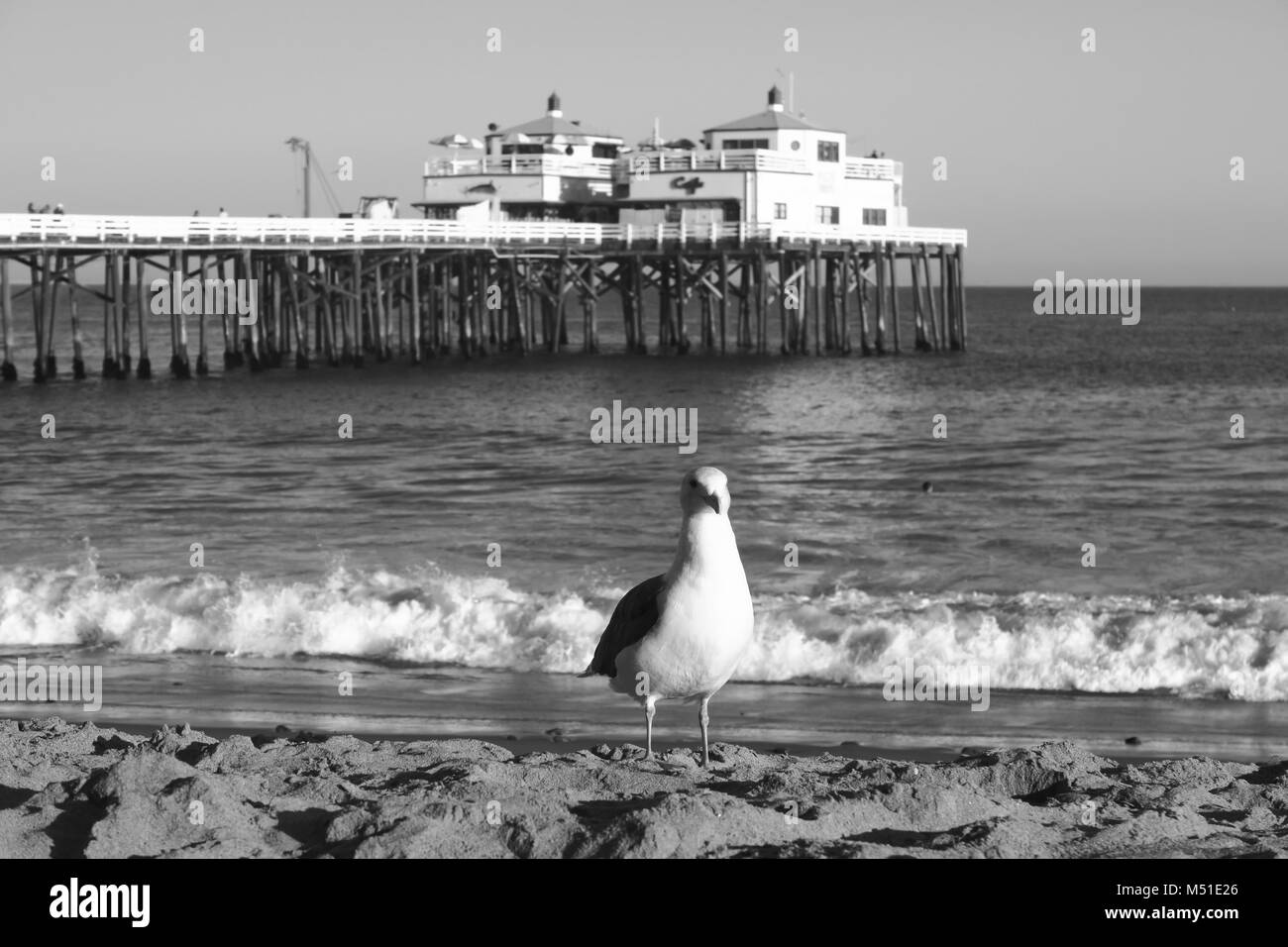 California Beach Sunset Palms Banque D'Images