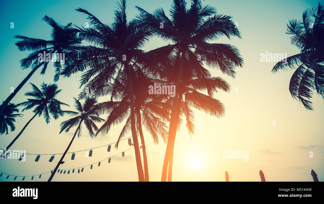 Silhouettes de palmiers contre le ciel sur la plage de la mer au cours d'un incroyable coucher du soleil. Banque D'Images