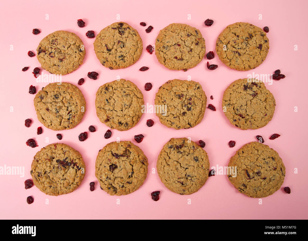 Télévision vue du dessus, une douzaine d'avoine cookies aux canneberges sur un fond rose, canneberges aléatoire portant sur la table autour de cookies. Banque D'Images