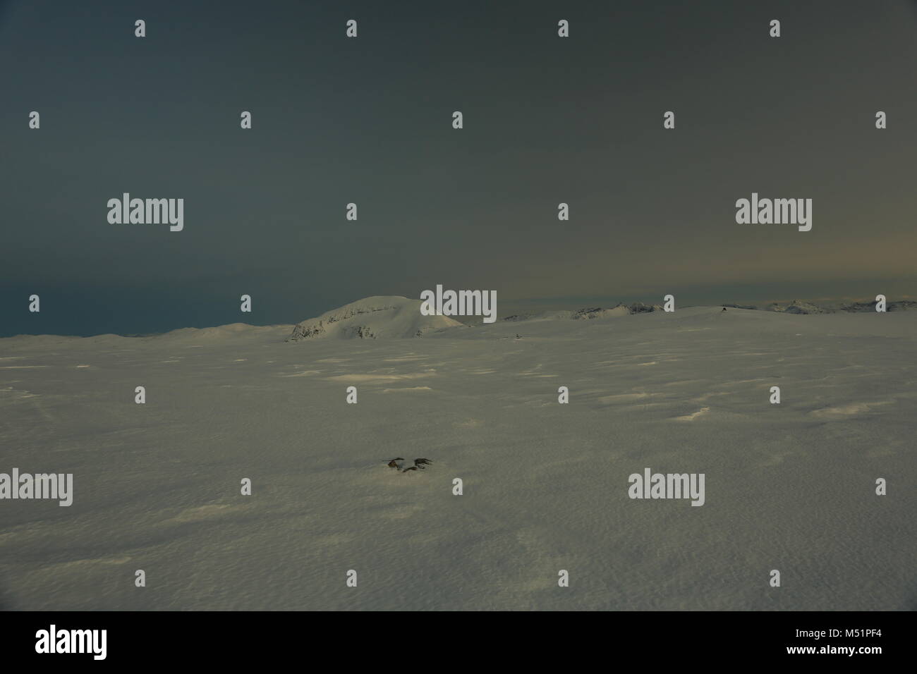 Montagnes hiver neige Banque D'Images